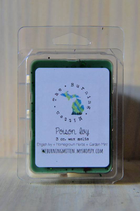 Poison Ivy Clamshell (english ivy + homegrown herbs + garden mint)